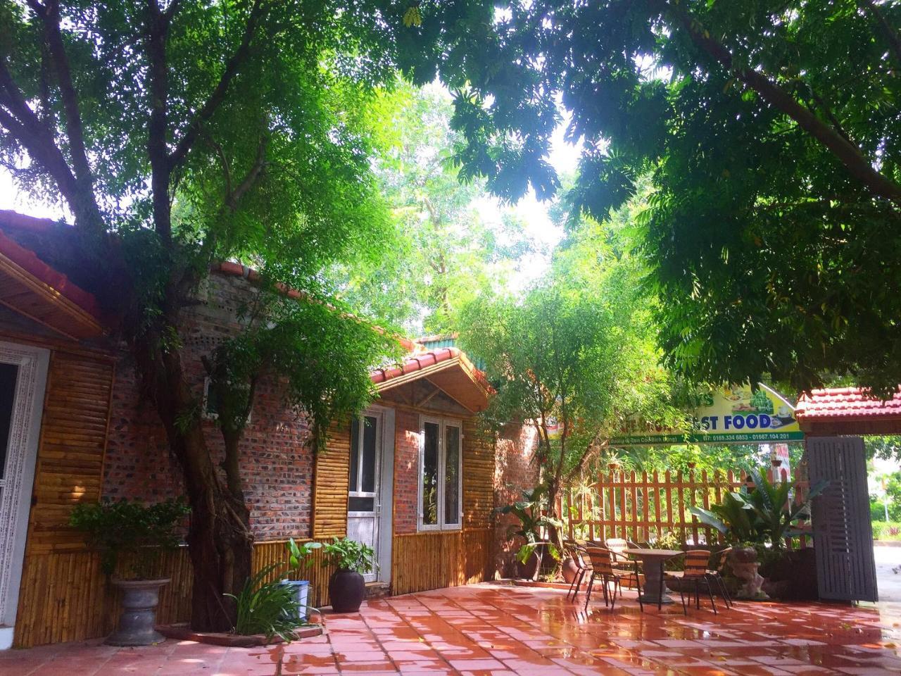 Tam Coc Green Fields Homestay Ninh Binh Exteriér fotografie